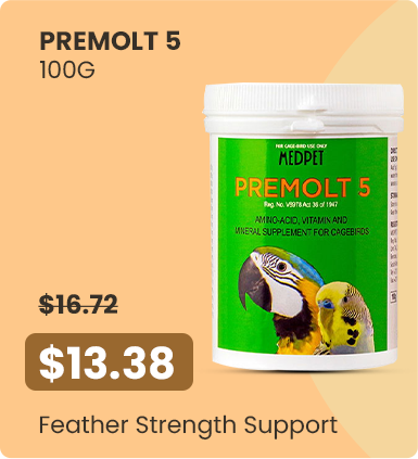 Grandi risparmi – 13,38 $ - Supporto per la forza delle piume