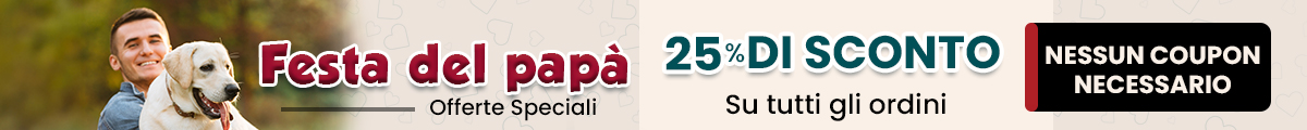 Banner di vendita